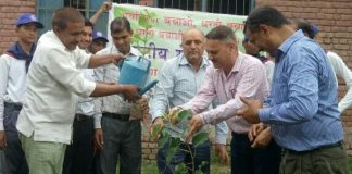 जन्म दिन के अवसर पर पौधे लगायें : कमलेश शास्त्री