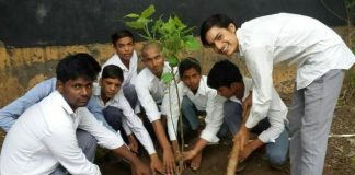 दीवारों से पीपल के पेड़ उखाड़कर जमीन पर लगाएं