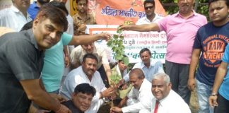 पर्यावरण का संदेश देते हुए लगाए गए पेड़ पौधे