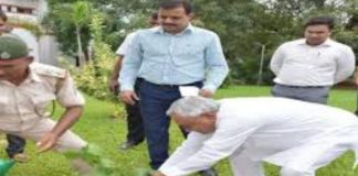 बिहार में वन महोत्सव का हुआ शुभारंभ, सीएम नीतीश ने लगाए पेड़