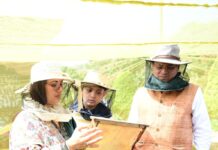 मुख्यमंत्री पुष्कर सिंह धामी ने उद्यान विभाग के अधिकारियों को निर्देश दिए