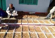 पलायन से प्रगति की ओर: बागेश्वर में आधुनिक कृषि और स्वरोजगार की नई मिसाल