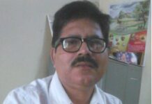 पौधरोपण 5 जून को नहीं मानसून आने के बाद करें।