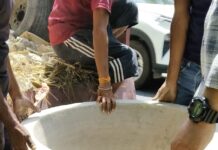 टांडा जंगल में पशुओं के लिये पानी की व्यवस्था की गई।