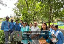 हरेला पर्व की तैयारियां शुरू, डीएवी इंटर कॉलेज में एनएसएस छात्रों ने किया पौधारोपण