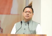 सौर ऊर्जा से स्वरोजगार की राह, उत्तराखंड में 210 मेगावाट क्षमता के प्लांट स्थापित