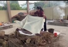 क्रांतिकारी शालू सैनी ने सड़क पर पड़े बुजुर्ग मृतक की बेटी बनकर दी मुखाग्नि, छः हजार से अधिक लावारिस मृतकों की वारिस बन अंतिम विदाई देने वाली क्रांतिकारी शालू सैनी ने फिर निभाया बेटी का धर्म