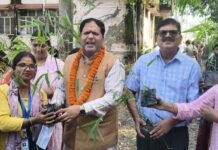 रुद्रपुर में बड़ी संख्या में नीम के पेड़ लगाए जाएंगे।